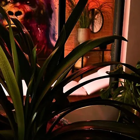 Aparthotel Aka Love'room Lavaur (Tarn)